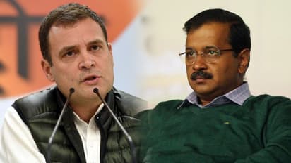 Rahul, AAP keep fighting; BJP smiles from the sidelines
