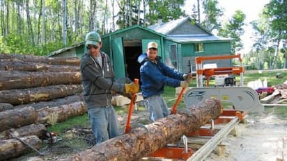 ನಗರ, ಪಟ್ಟಣಗಳ ಬಳಿ ಹೊಸ ಸಾಮಿಲ್ಗೆ ಲೈಸೆನ್ಸ್ ಇಲ್ಲ: ಹೈಕೋರ್ಟ್