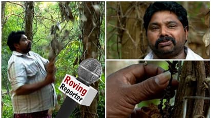 കരിഞ്ഞു പോയ നാണ്യവിളകളെ നോക്കി നെഞ്ച് പൊട്ടി കർഷകർ; താങ്ങുവില പ്രഖ്യാപിക്കാതെ സർക്കാർ