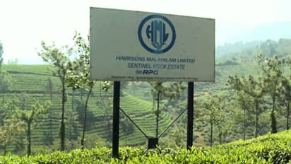 വയനാട് ഭൂമി ഏറ്റെടുക്കൽ: ഹാരിസൺ മലയാളം നൽകിയ അപ്പീലിനെതിരെ പ്രതിഷേധം; ഇന്ന് സിപിഎം മാർച്ച്