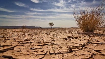 കേരളം പൊള്ളുന്നു; ഉഷ്ണതരംഗത്തിനും സൂര്യാഘാതത്തിനും സാധ്യത