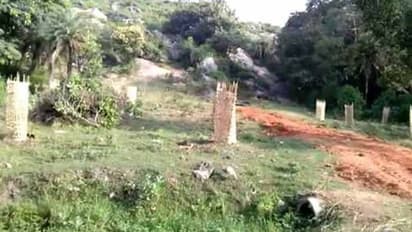 సమాధిని తవ్వి తల తీసుకెళ్లిన దుండగులు