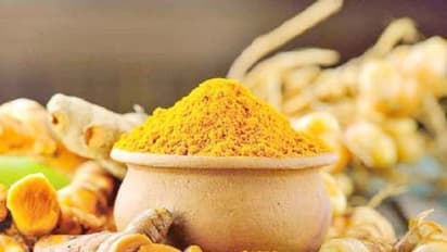 ஈரோடு மஞ்சளுக்கு புவிசார் குறியீடு அந்தஸ்து … விவசாயிகள், வியாபாரிகள் மகிழ்ச்சி !!