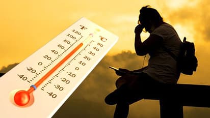 Bengaluru temperature touches record 37 degrees; brace up for more sultry days