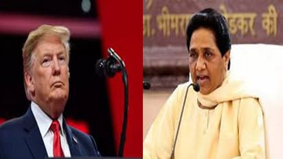 ಟ್ರಂಪ್ ಪಕ್ಷದ ಚಿಹ್ನೆಯೇ  ಮಾಯಾವತಿ ಪಕ್ಷದ ಚಿಹ್ನೆ