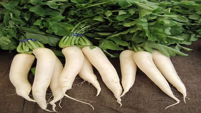 ముల్లంగి తిన్న తర్వాత.. ఈ ఫుడ్స్ తినకూడదు తెలుసా?