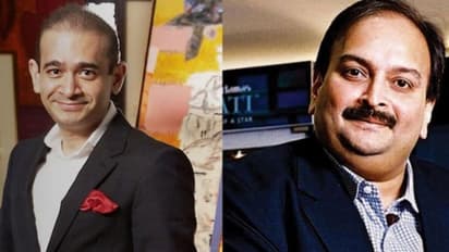 Charges, evidence against Nirav Modi, Mehul Choksi India handed to Britain