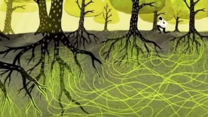 മണ്ണിന്നടിയില് വേരുകള് കൊണ്ടവര് കെട്ടിപ്പിടിക്കുന്നുണ്ട്....