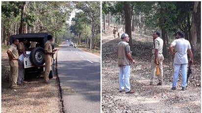 ഭീതി പരത്തി കാട്ടാന; വടക്കനാട് കൊമ്പനെ ഇന്നും പിടിക്കാനായില്ല