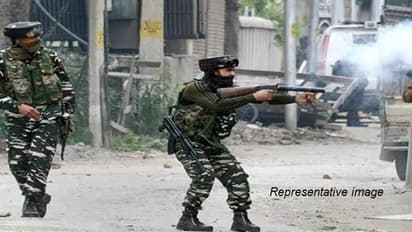 3 terrorists killed in encounter in Pulwama of Jammu-Kashmir