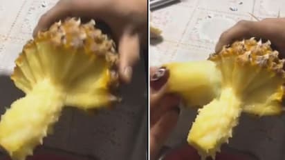 ശ്ശെടാ! ഒരു പൈനാപ്പിള് തിന്നുന്നതിനാണ് ഇത്ര മേളം; ഒന്ന് കണ്ട് നോക്കൂ...