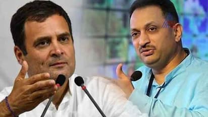 केंद्रीय मंत्री हेगड़े का विवादित बयान, राहुल गांधी को 'हाइब्रिड शख्स' बताया