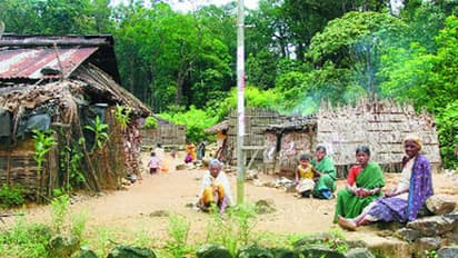 സൗജന്യ റേഷന്; പക്ഷേ ഇടമലക്കുടിക്കാര് ഒരു കിലോ അരിക്ക് 10 രൂപ 50 പൈസ കൊടുക്കണം