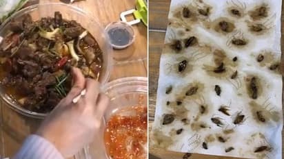 ഓൺലൈനിൽ നിന്നും ഭക്ഷണം വാങ്ങി; പൊതി തുറന്നപ്പോൾ യുവതി കണ്ടത് ഞെട്ടിക്കുന്ന കാഴ്ച