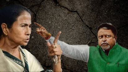 Yes, I am gaddar; I learnt gaddari from Didi: Mukul Roy