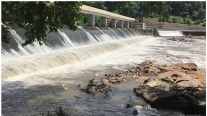 സാമൂഹ്യവിരുദ്ധർ ഡാം തുറന്നുവിട്ടു; പെരുന്തേനരുവി ഡാമില് വൻ സുരക്ഷാവീഴ്ച
