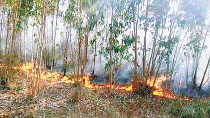 ಬಂಡೀಪುರ ಬೆನ್ನಲ್ಲೇ ಸೊಳ್ಳೆಪುರ ಮೀಸಲು ಅರಣ್ಯ ಪ್ರದೇಶದಲ್ಲಿ ಕಾಡ್ಗಿಚ್ಚು