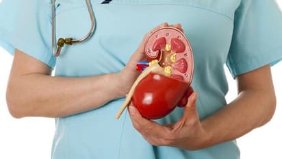 വൃക്കരോ​ഗം വരാതിരിക്കാൻ ശ്രദ്ധിക്കേണ്ട 7 കാര്യങ്ങൾ