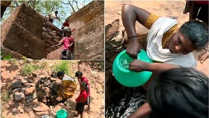 വരൾച്ച രൂക്ഷം; കൊല്ലം ജില്ലയുടെ കിഴക്കൻ മേഖലകളിൽ കുടിവെള്ളം കിട്ടാക്കനി