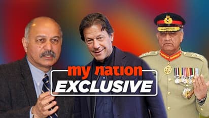 Pakistan senator lets cat out, says Pulwama Pak’s ‘finest hour in 20 years’