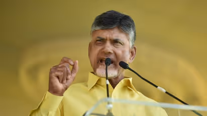 Jaganmohan Reddy is a ganja plant in a tulsi garden: Chandrababu Naidu