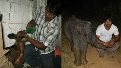 30 വര്ഷം കൊണ്ട് രക്ഷിച്ചത് 2500 ജീവനുകള്; മാതൃകയാണ് ഈ യുവാവ്