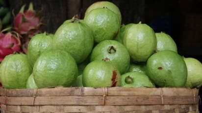 അണുബാധയിൽ നിന്നും സംരക്ഷിക്കും പേരയ്ക്ക...