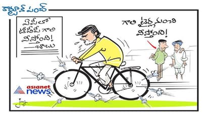 కార్టూన్ పంచ్