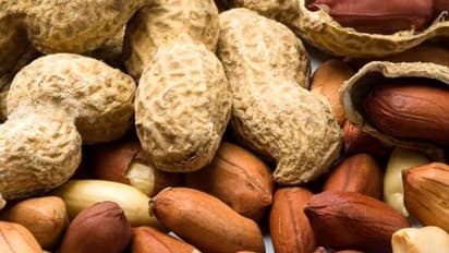 ಚಳಿಗಾಲದಲ್ಲಿ ದೇಹವನ್ನು ಬೆಚ್ಚಗಿಡುವ ನೆಲಗಡಲೆಯನ್ನು ಏಕೆ ತಿನ್ನಬೇಕು?