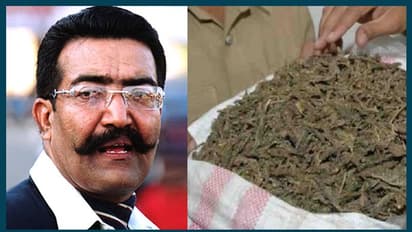 ലഹരി മാഫിയയെ പൂട്ടാന് കര്ശന നിര്ദേശം; ഒരു ഡിവിഷനിൽ ദിവസവും 250 ഗ്രാം കഞ്ചാവ് പിടിക്കണമെന്ന് ഋഷിരാജ് സിംഗ്