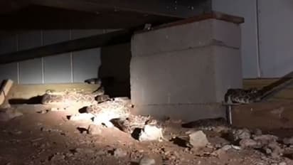 കേബിള് ഇളകിയത് നോക്കാന് പോയി; കണ്ടത് പേടിപ്പെടുത്തുന്ന കാഴ്ച...