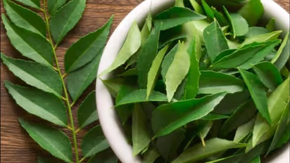 ಕರಿಬೇವಿನ ಎಲೆ ಆಹಾರದ ರುಚಿ ಜೊತೆಗೆ ಆರೋಗ್ಯಕ್ಕೂ ಬೆಸ್ಟ್