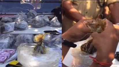 തലസ്ഥാനത്ത് വന് ലഹരി വേട്ട; 13 കോടി രൂപയുടെ ഹാഷിഷ് ഓയില് പിടികൂടി