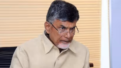 ఎన్టీఆర్ విగ్రహాలు ధ్వంసం కాకుండా చర్యలు తీసుకోండి.. డీజీపీకి లేఖ రాసిన చంద్రబాబు నాయడు