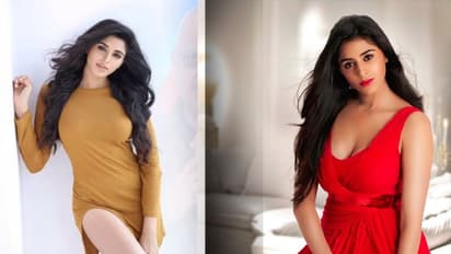 ఎలక్షన్స్: హీరోయిన్ కు పాజిటివ్ సర్వేలు