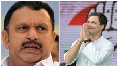 'സോണിയയും പ്രിയങ്കയും ദില്ലിയിലുണ്ട്', രാഹുല് എവിടെയെന്ന ചോദ്യം തരംതാണതെന്ന് കെ മുരളീധരന്