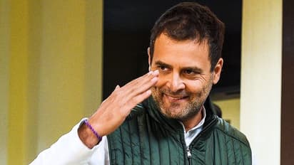 भाजपा ने राहुल गांधी से पूछा, बिना काम किए कैसे बढ़ जाती है संपत्ति, मॉडल तो बताएं