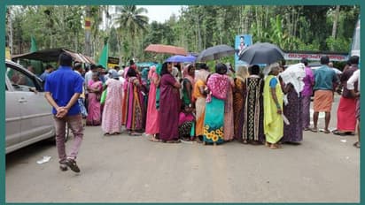 വയനാട് വനപാലകരെ ആക്രമിച്ച കടുവയെ പിടികൂടി