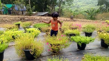 വിവിധ ഇനങ്ങളിലുള്ള പത്തുമണി ചെടിയുടെ വന്ശേഖരം; ഇത് സുജിത്രയുടെ ഉദ്യാനം