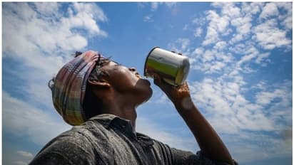 പൊള്ളുന്ന ചൂട് ഒരാഴ്ച കൂടി തുടരും; ഇന്ന് 119 പേർക്ക് സൂര്യാതപമേറ്റു, മൂന്ന് പേര്ക്ക് സൂര്യാഘാതമേറ്റു