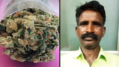 CCB arrests Odisha resident, seizes Rs 7 lakh worth ganja