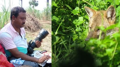 10 വര്ഷം കൊണ്ട് ഒരു കാട് തന്നെ നിര്മ്മിച്ച മനുഷ്യന്; ഇതുവരെ നട്ടത് 25,000 മരങ്ങള്..