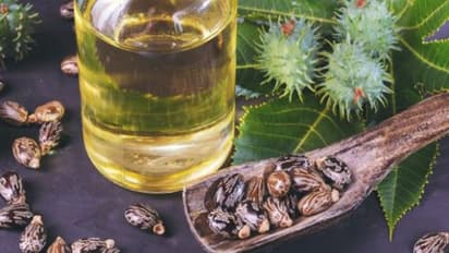 താരൻ അകറ്റാൻ ആവണക്കെണ്ണ; ഉപയോ​ഗിക്കേണ്ട വിധം