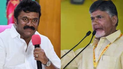 చంద్రబాబు అరెస్ట్ బాధాకరం.. విచారణ పేరుతో ఇబ్బందులకు గురి చేయడం సరికాదు: మంత్రి తలసాని