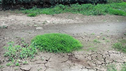 അപ്പര് കുട്ടനാട്ടില് ഒരുകാലത്തും വറ്റാത്ത തോടുകളും വറ്റിവരണ്ടു; കര്ഷകര് പ്രതിസന്ധിയില്