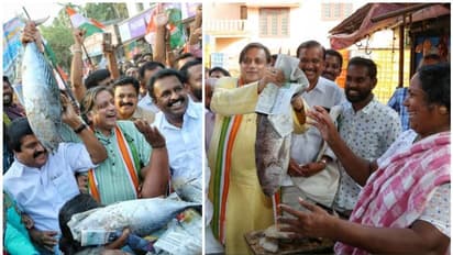 ഒടുവിൽ ചൂരമീൻ വെറും കയ്യിൽ പൊക്കിയെടുത്ത് തരൂർ; തീരദേശം കേന്ദ്രീകരിച്ച് വൻ പ്രചാരണം