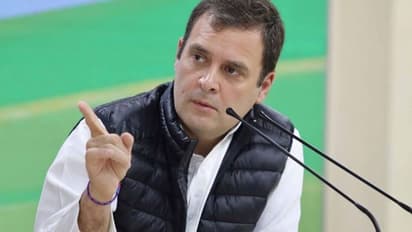 Rahul Gandhi chooses Wayanad as plan B; Amethi too close to call?