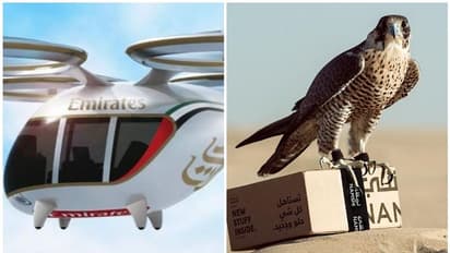 യാത്ര ചെയ്യാന് ഡ്രൈവറില്ലാത്ത ഡ്രോണ്, പാര്സല് എത്തിക്കാന് പരുന്ത്; യുഎഇയിലെ കമ്പനികള് ഉപഭോക്താക്കളെ ഫൂളാക്കിയത് ഇങ്ങനെ