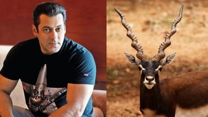 Salman Khan's appeal in blackbuck poaching case to be heard today