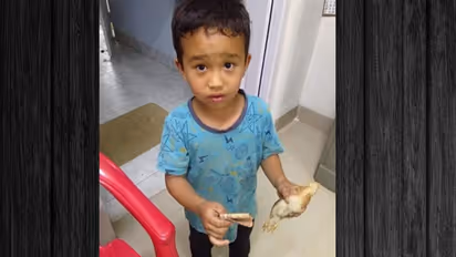 'അയ്യോ കോഴിക്കുഞ്ഞിനെ രക്ഷിക്കണേ...' അറിയാതെ സൈക്കിള് കയറിപ്പോയ കോഴിക്കുഞ്ഞുമായി ആശുപത്രിയിലെത്തിയ കുട്ടി